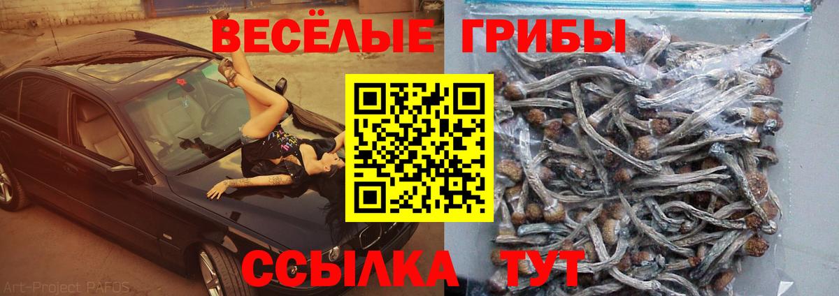 Галлюциногенные грибы мухоморы  Вход с VPN  Ахтубинск 