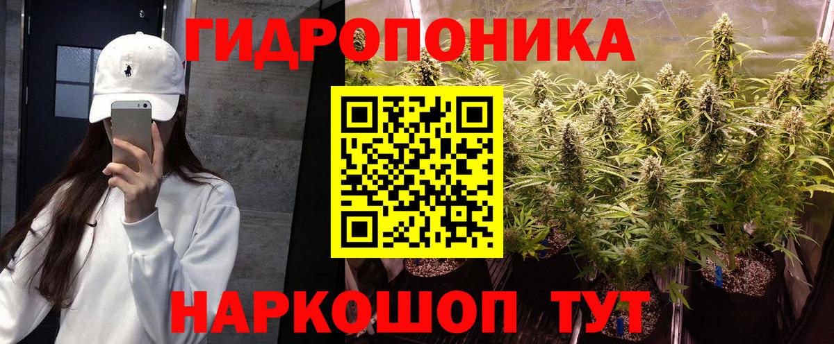 Бошки марихуана семена  Шишки марихуана планчик  Бошки Шишки марихуана  Вход с VPN  Ахтубинск  Марихуана THC 21% 